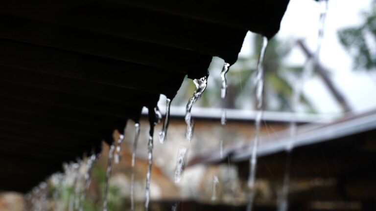 Top 5 Beneficios Para Obtener Agua Potable en tu Casa a Partir de la Lluvia en el Sector Rural